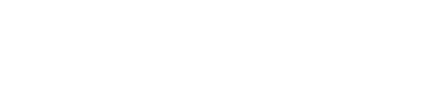 Logiz — logistics beyond border